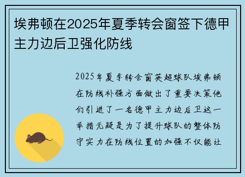 埃弗顿在2025年夏季转会窗签下德甲主力边后卫强化防线